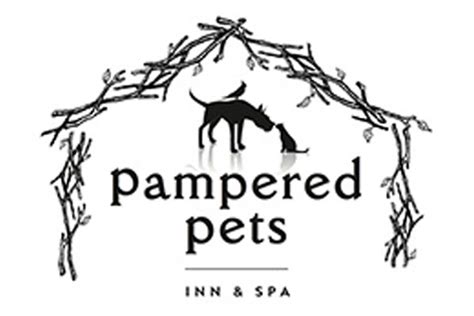 pampered pets inn spa  local asheville