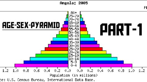 age sex pyramid part 1 part 2 coming soon youtube