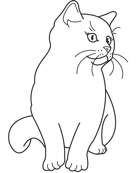 realistic black cat colouring pages coloring home