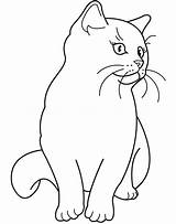 Coloring Pages Kittens Cats Popular sketch template