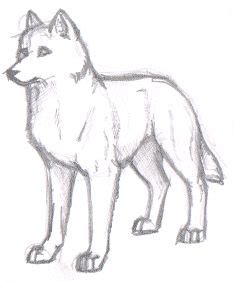 easy wolf drawings  pencil tutoring animals wolfs pinterest wolf drawings drawings