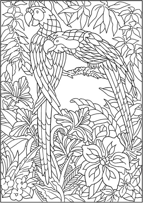 dover publications jungle coloring pages coloring pages
