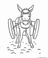 Donkey Esel Cart Ausmalbilder Animals Malvorlage Mule Colouring Malvorlagen sketch template