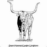 Texas Longhorns Homeschoolers Printables sketch template