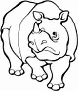 Rhino Coloring Pages Large sketch template