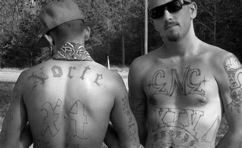 latin gangs numbers mara  sur  ms  norte