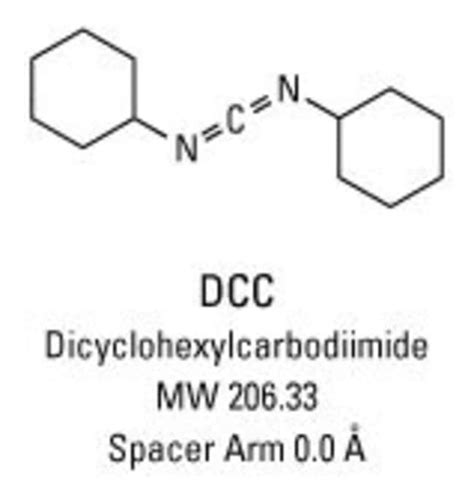 dcc dicyclohexylcarbodiimide thermo fisher scientific