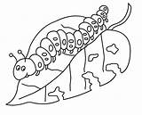 Coloring Centipede Hungry Very Getdrawings sketch template