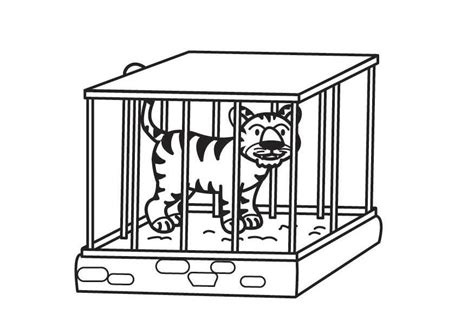 coloriage tigre en cage coloriages gratuits  imprimer dessin