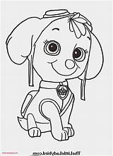 Paw Patrol Skye Coloring Pages Ausmalbilder Colouring Choose Board sketch template