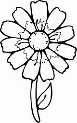 Flower Template Colour Clipart Coloring Spring Pages Drawing Library Easy sketch template