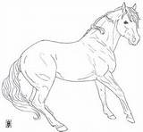 Horses Horse Coloring Color Death Drawings Simple Line Animal Grl Goali Til sketch template