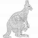 Kangaroo Coloring Zentangle Adult Australian Stylized Wallaroo Freehand Mandala Aboriginal Pages Ausmalbilder Ausmalen Cub Sketch Mother Young Erwachsene Family Her sketch template