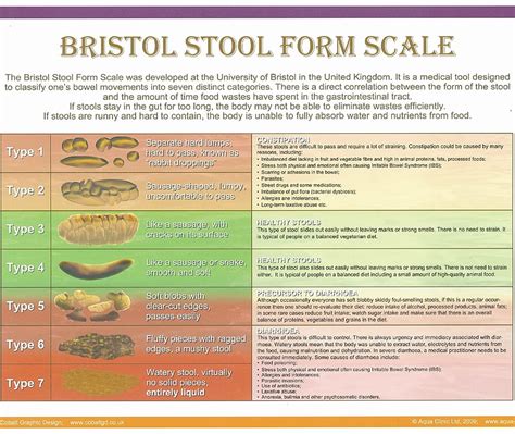 colon hydrotherapy portugal    kirsten hellum colonic bristol stool form scale