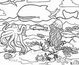 Sea Coloring Pages Under Print Nature sketch template