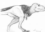 Rex Feathery Preliminary Sketc Tyrannosaurus sketch template