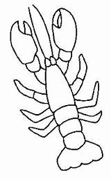 Colorat Animale Rac Raci Crostacei Crustaces Desene Planse Shrimp P05 Crabs Desen Cigala Gamba Plansa Primiiani Fisa Gifgratis sketch template