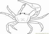 Fiddler Coloring Crab Gulf Mud Pages Coloringpages101 sketch template