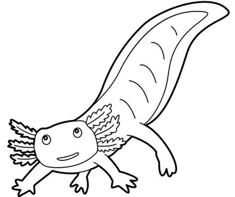amphibian coloring pages amanda gregorys coloring pages