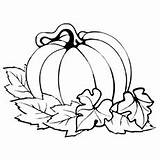 Pumpkin Coloring Pages Leaves Halloween Pumpkins Printable Kids Top Thanksgiving Fall Print Little Easy Adult Printables sketch template