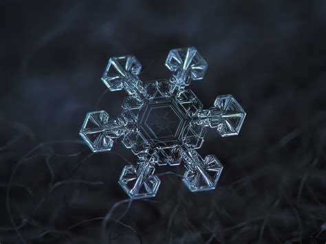 stunning snowflake   wont      amateur photographer pbs newshour