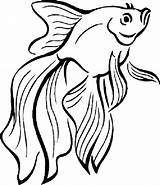 Fish Coloring Pages Cartoon Tropical Cute Drawing Cool Kids Outline Drawings Printable Color Pout Colouring Betta Print Fighting Japanese Easy sketch template