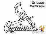 Cardinals Softball Mlb Yescoloring Ausmalbilder Gateway Stl Cubs Cardinal sketch template