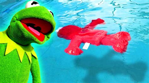 kermit  frog teaches elmo   swim youtube