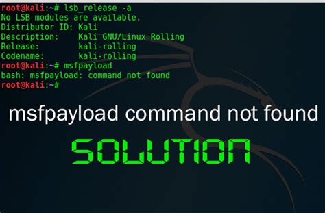 How To Solve Msfpayload Command Not Found In Kali Linux