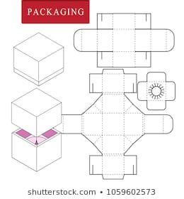 packaging designvector illustration  boxpackage template isolated