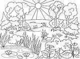 Nature sketch template