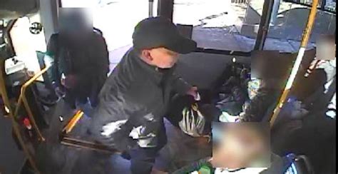 police investigating after report of sexual assault on calgary bus news