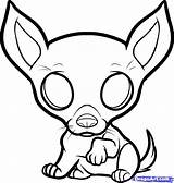 Chihuahua Coloring Pages Drawing Dog Puppy Puppies Draw Color Printable Chihuahuas Kids Step Cute Imagixs Cartoon Colouring Bing Animals M5x sketch template