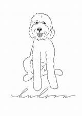 Goldendoodle Labradoodle Dogs Doodle Cockapoo Poodle Fluffy sketch template