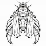 Cicada Line Drawing Getdrawings Clipart sketch template