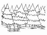 Pine Coloring Pages Trees Tree Getcolorings Printable sketch template
