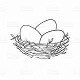 Nest Drawing Bird Eggs Egg Line Vector Basket Clip Birds Illustration Drawings Isolated Illustrations Stock Linear Getdrawings Royalty Paintingvalley sketch template