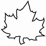 Leaf Template Maple Printable Outline Clip Fall Clipart sketch template