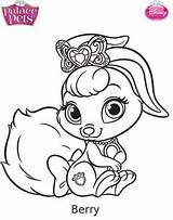 Pets Princess Palace Coloring Pages Kids Berry Fun sketch template