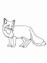 Coloring Fox Pages Animal Preschoolers Choose Board Printables Pets Printable Kids sketch template
