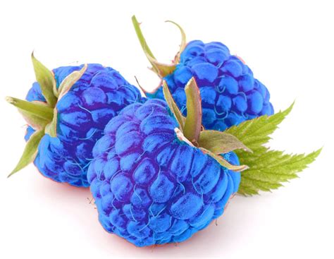 blue raspberry  vape flavour concentrates australia nz  juice