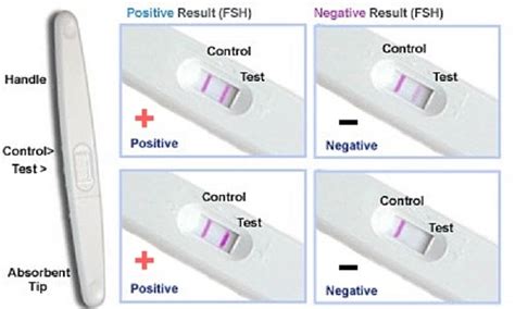 When To Take A Home Pregnancy Test Gomama 24 7