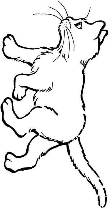 animal coloring pages  downloads  preschool coloring animals