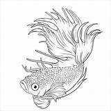 Fish Coloring Betta Pages Siamese Fighting Printable Tattoo Tattoos Splendens Coloringbay Drawing Drawings Color Lineart Visit Choose Print Watercolor Board sketch template