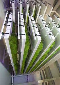 Vertical Hydroponic Growing Systems Design DopePicz