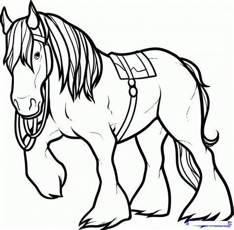 clydesdale horses coloring pages coloring home