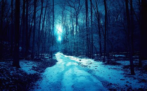 forest blue winter dark spooky road wallpaper