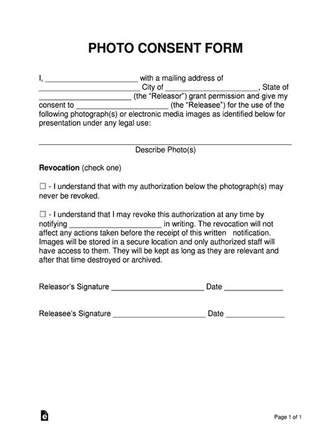 photo consent form fill   sign printable  template signnow
