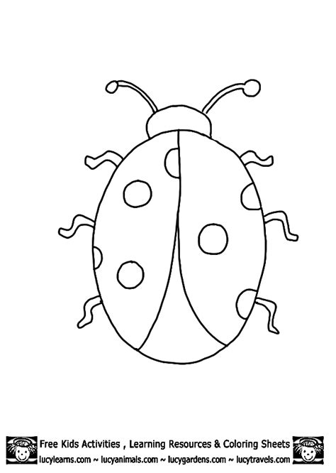 printable ladybug template   printable ladybug