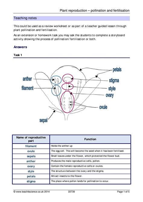 Plant Reproduction Worksheet Coloring Pages And Worksheet